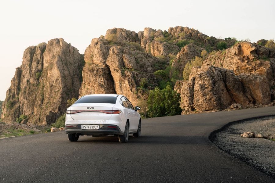Chinese EV Brands