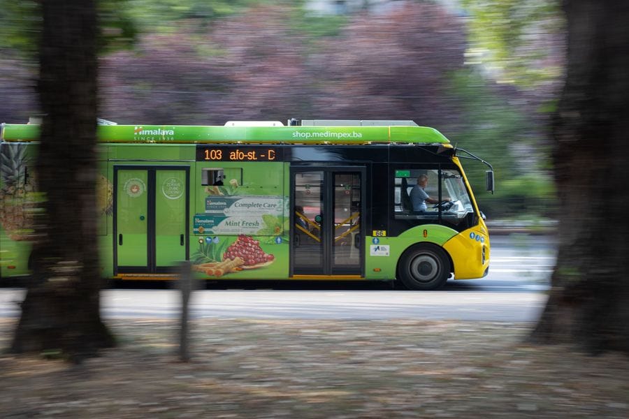 Electric Buses & Fleets